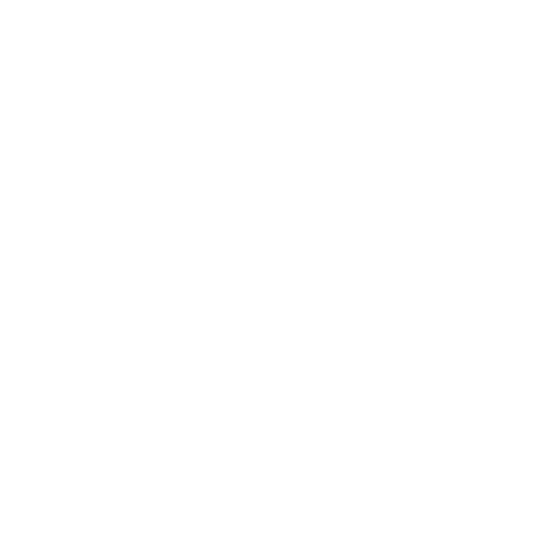 Erla Logo